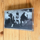 Beastie Boys - Check Your Head - pikkukuva 1