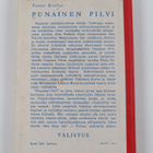 Tauno Karilas : Punainen pilvi : Intiaanikertomus - pikkukuva 2