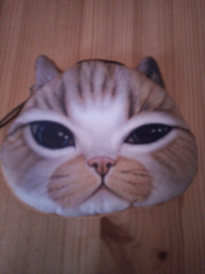 Kissa kolikkokukkaro