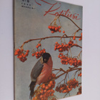 Kotiliesi 2/1945 - pikkukuva 1
