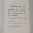 Theodore Dreiser : Syster Carrie - Första delen - pikkukuva 2