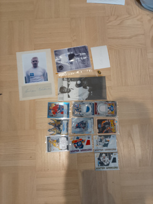 Isoin!koivuauto!/8!!selänne/10! Ässät!auto!!!