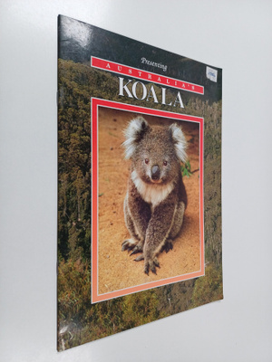 Australian's koala
