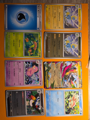 8 pokemon korttia, Pokemon pitch black