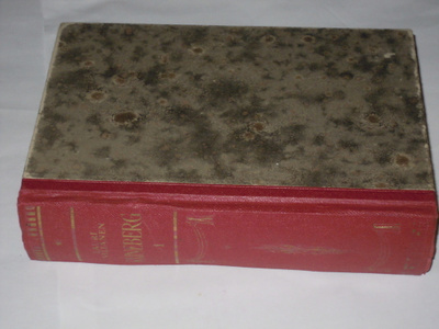 Lauri Viljanen : Runeberg ja hänen runoutensa 1804-1837
