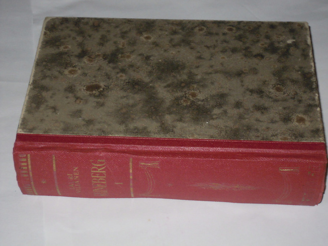 Lauri Viljanen : Runeberg ja hänen runoutensa 1804-1837