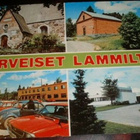 kortti °/** Lammi tai Janakkala - erilaisia - pikkukuva 1