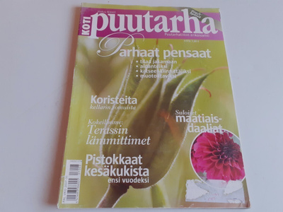 Kotipuutarha 8/2007
