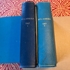 AKU ANKKA VUOSIKERTA 1967 - pikkukuva 1