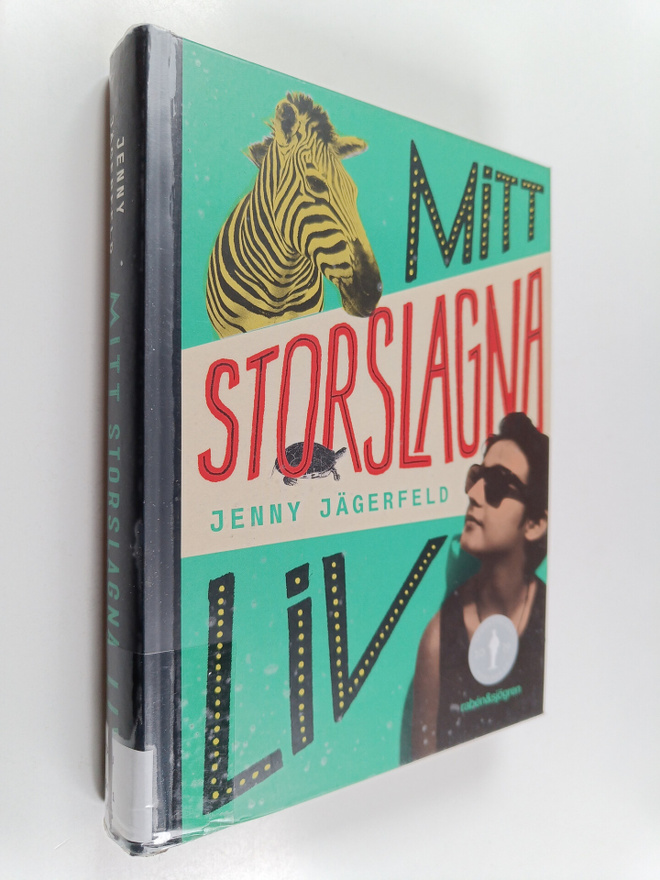Jenny Jägerfeld : Mitt storslagna liv