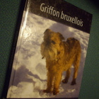 GRIFFON BRUXELLOIS (Suomen suosituimmat koirarodut) Sis.pk:t - pikkukuva 1