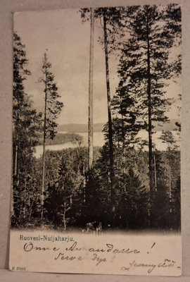 Ruovesi: Nuijaharju o (222)