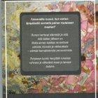 Kati Kanto _ Ruusuja lumessa (runoja) - pikkukuva 2