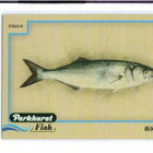 2025-26 Parkhurst - Fish - 0,75 € / kpl - pikkukuva 2
