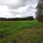 Peltoa 3 ha + metsää n. 0,5 ha - pikkukuva 2