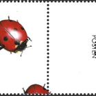Ål 2006 Kovakuoriaisia 0,65 € välilöpari logo EPL LaPe 260 - pikkukuva 2