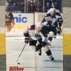 Zigmund Palffy/ Jevgeni Nabokov. Pro Hockey. - pikkukuva 1