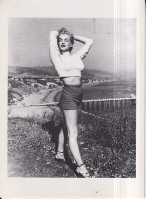 Marilyn Monroe. kokokuva ,  e203