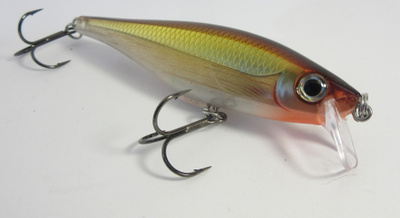 Rapala BX Minnow 10cm