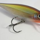 Rapala BX Minnow 10cm - pikkukuva 1