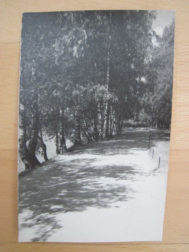 VANHA Postikortti Kuopio 1930-l Alkup. Mallikappale