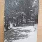 VANHA Postikortti Kuopio 1930-l Alkup. Mallikappale - pikkukuva 1