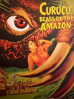 Curucu, beast of the amazon