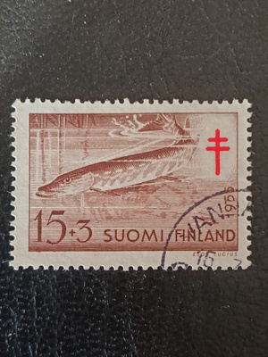 TUB merkki-55