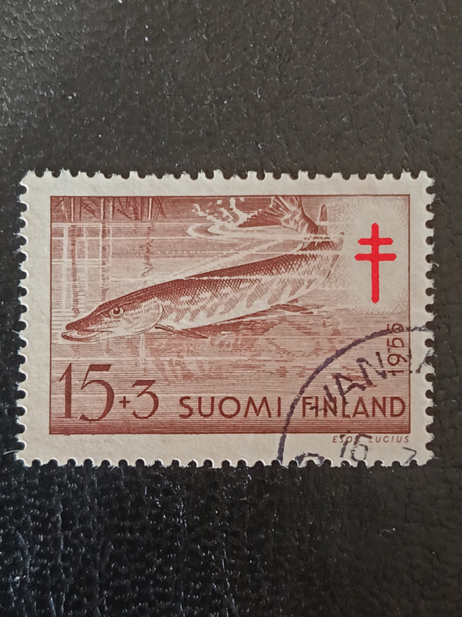 TUB merkki-55