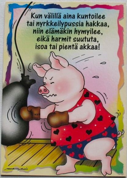 kortti ** Ansio Marleena Aktiviteetteja - erilaisia