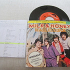 Milk & Honey hallelujah 7 45 hollanti 1979 euroviisut - pikkukuva 1