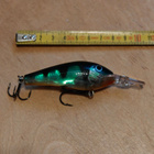 Rapala rattlin fat rap 7cm - pikkukuva 1