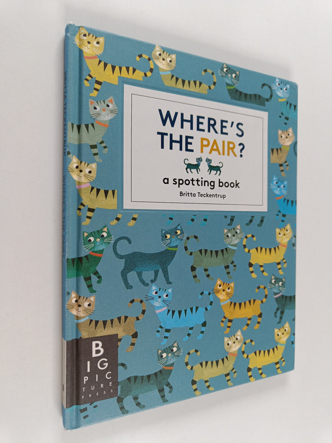Britta Teckentrup : Where's the Pair? - A Spotting Book