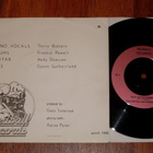 7" TERRY BUTTERS & FRANKIE POWELL single 1986 blues rock EX - pikkukuva 2