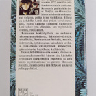 Heinrich Böll : Nainen ryhmäkuvassa - pikkukuva 2