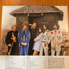 The Flying Burrito Bros - The Gilded Palace Of Sin - LP - pikkukuva 2