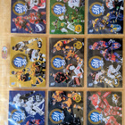 2024-25 Blueline Team Set kortteja 0,30 EUR/kpl - pikkukuva 3
