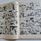 Sarjakuvalehti 2/1972 - pikkukuva 4