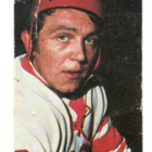Purkkakuva Jenkki MM-JÄÄKIEKKO n:o 78 VLADIMIR SHADRIN - pikkukuva 1