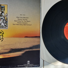 Steve Hillage - Motivation Radio vinyyli lp - pikkukuva 2