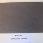 VANHA Postikortti Lieto Pokkola 1920-l - pikkukuva 3