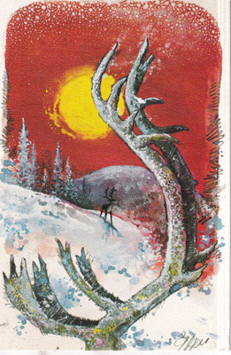 Omppu. Poron sarvet, aurinko , e310