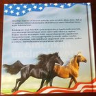 AMERIKAN UNELMAHEVOSET, uusi - pikkukuva 2