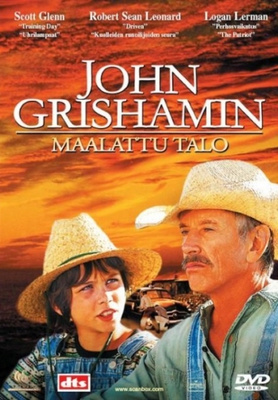 Maalattu talo (DVD)