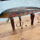 Rapala Countdown Finland 9cm Rainbow Trout - pikkukuva 2