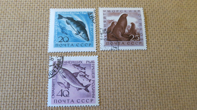 CCCP 1960: merielämää