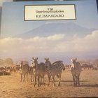 The Teardrop Explodes: Kilimanjaro 1979/1980 LP - pikkukuva 1