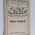 Gustaf af Geijerstam : Mina pojkar : en sommarbok för sto... - pikkukuva 1