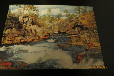 KORPIPURO 1961 KULKENUT KORTTI