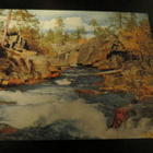 KORPIPURO 1961 KULKENUT KORTTI - pikkukuva 1